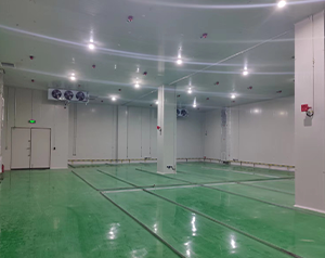 做防爆冷庫低溫危險品倉庫的建造標準是什么？