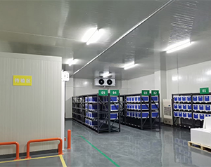 建一個專業(yè)診斷試劑冷庫造價費用成本多少錢？