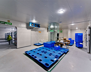 血制品公司建造80立方-25~-30℃血漿冷庫的方案報價？