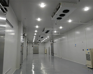 生物樣本冷庫、試劑冷庫建造主要需要哪些設(shè)備？