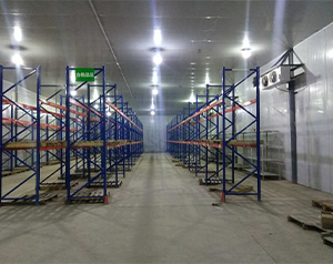 生物公司建造200平2-8℃醫(yī)藥冷庫建造費(fèi)用？
