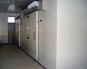 榴蓮冷凍庫、榴蓮冷庫貯藏技術(shù)、榴蓮速凍庫建造成本多少