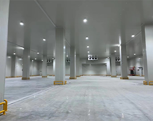 你知道未來哪種冷庫更有市場潛力，有“錢”景？