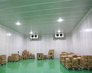 安裝10000m³生鮮物流冷藏庫（低溫倉庫）建設(shè)廠家收費標準