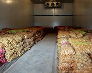 建造 1000噸食品加工冷庫(kù)大概需要多少錢？