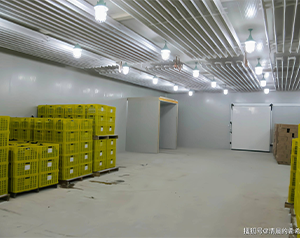 建設一個150平米氣調庫，大概需要多少資金