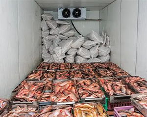 舌尖上的漁業(yè)制冷-海鮮、魚類冷庫
