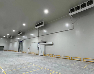 建個(gè)小型冷藏庫多少錢?冷藏庫建設(shè)造價(jià)？