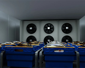 亂世之秋 生鮮電商如何突圍？