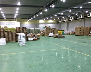冷庫和廠房可以合建嗎？