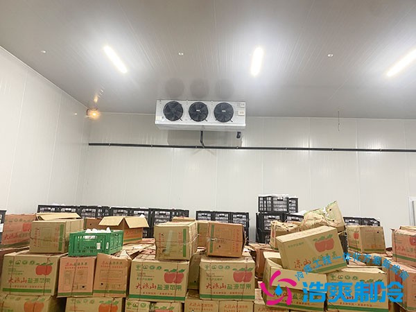 建一個水果冷庫需要多少錢？