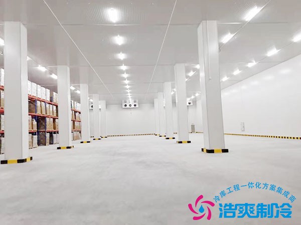 建造一個(gè)大型冷鏈倉儲(chǔ)投資預(yù)算多少錢？