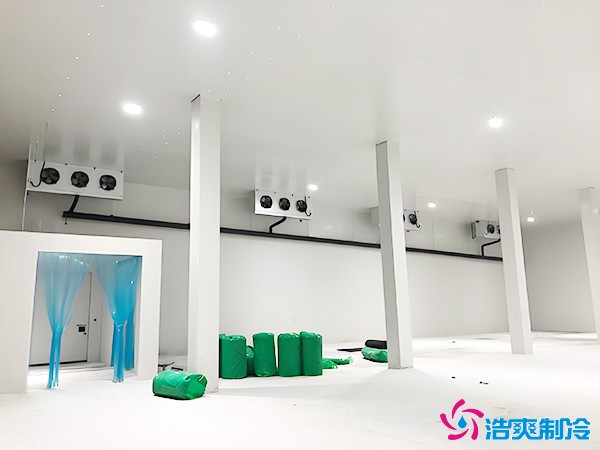 2025年千噸冷庫造價(jià)多少錢