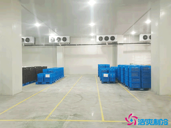 建造萬噸級(jí)大型冷庫造價(jià)大概多少錢？萬噸冷庫造價(jià)影響因素
