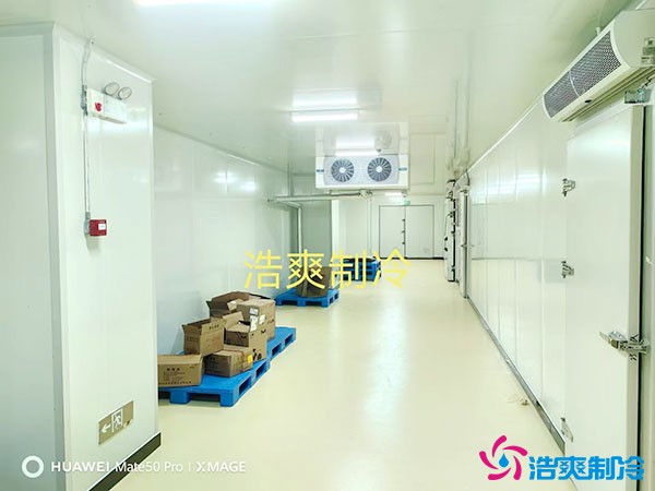 儲存疫苗的企業(yè)獨立冷庫有幾個？生物疫苗冷庫造價