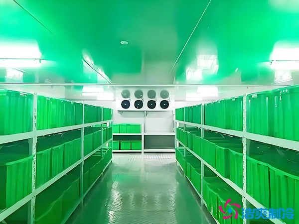 藥品批發(fā)企業(yè)冷藏庫平方面積要求多少？1000平藥企冷庫造價