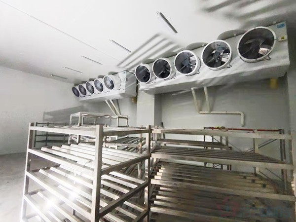 建造1000立方冷凍庫配多大壓縮機？造價預(yù)算多少錢？