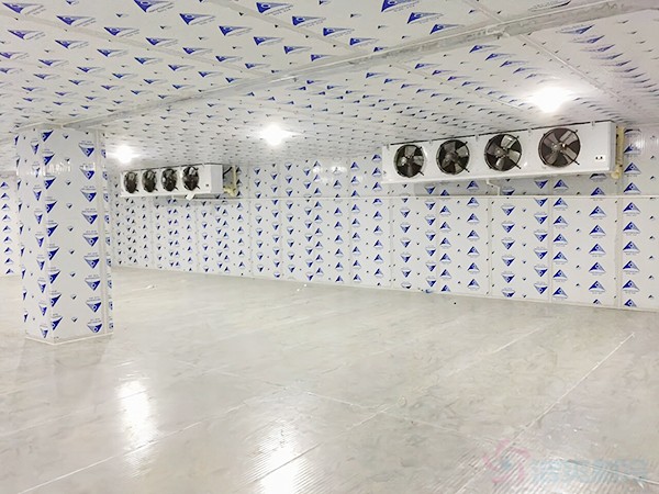 建一個(gè)冷凍庫造價(jià)需要多少錢一平方？