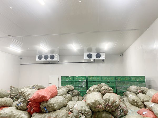 影響蔬菜保鮮冷庫(kù)建造價(jià)格的因素有哪些？