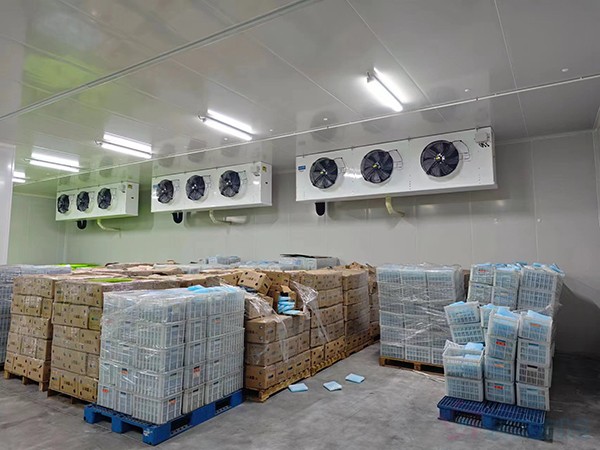 大型工業(yè)藥品冷庫建設(shè)安裝價(jià)格大概多少錢？
